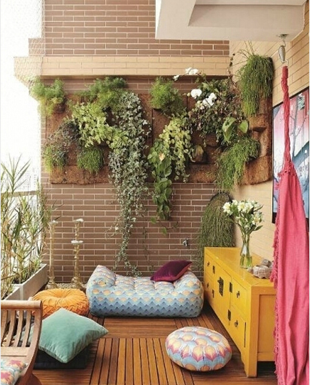 阳台植物巧摆放 好风景更有好风水