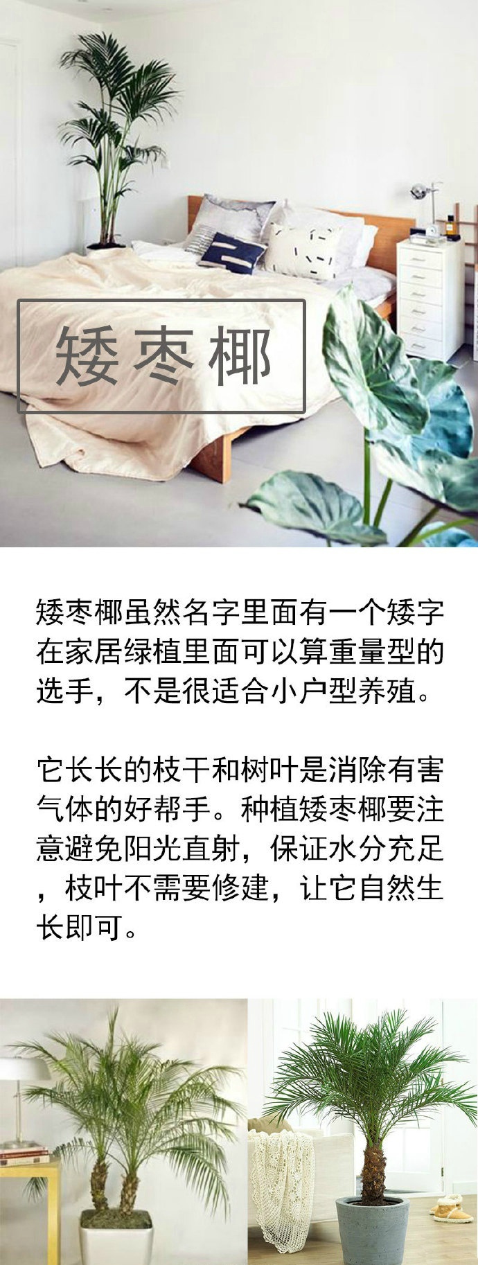 c511d411gw1faremb0z9gj20j61eqn73.jpg