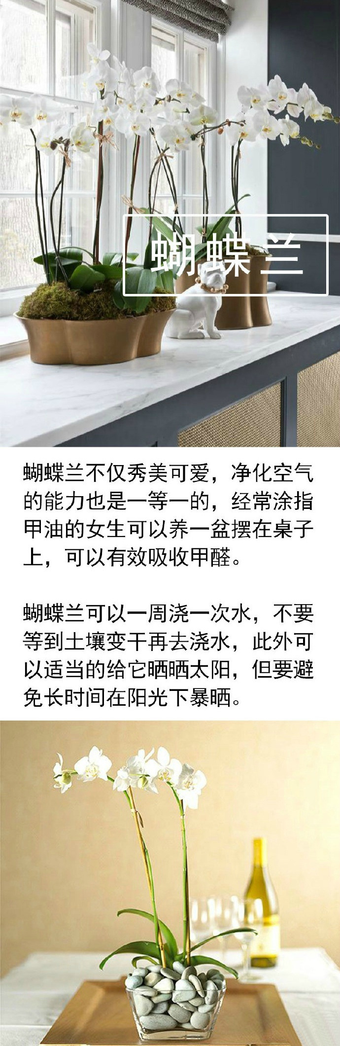 c511d411gw1farema6x6cj20j61mxn9d.jpg