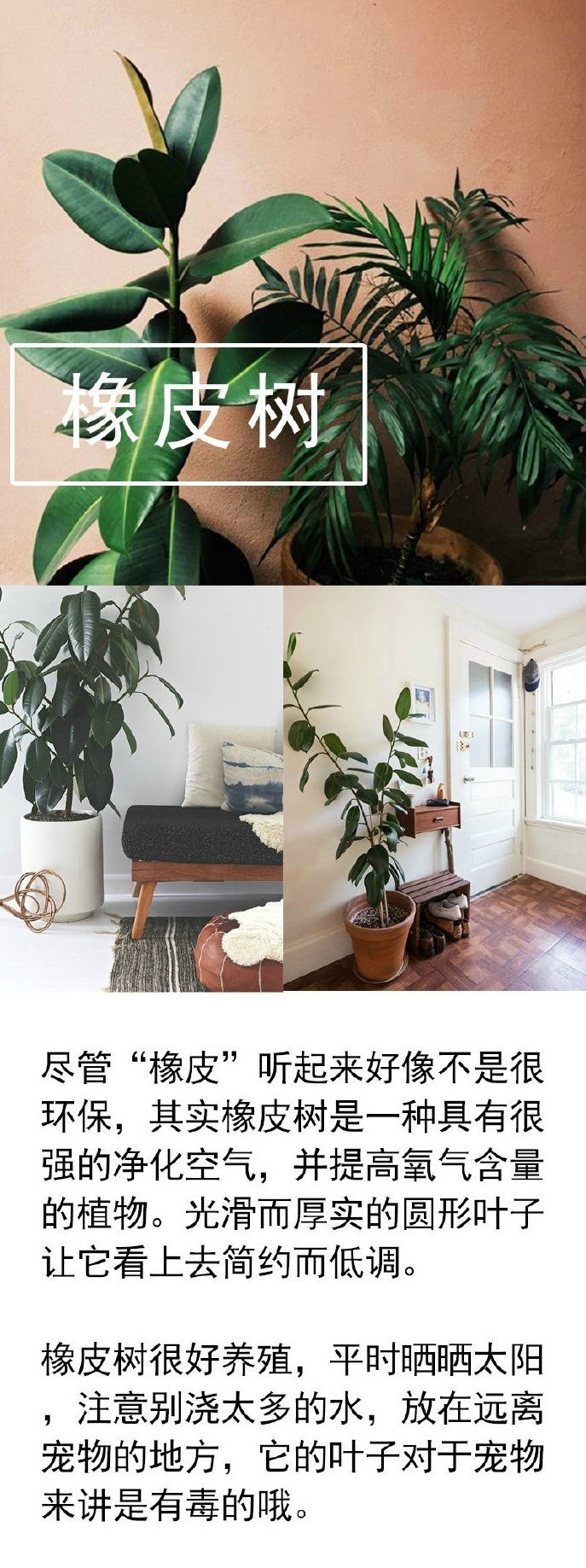 c511d411gw1faremju544j20j31f14av.jpg