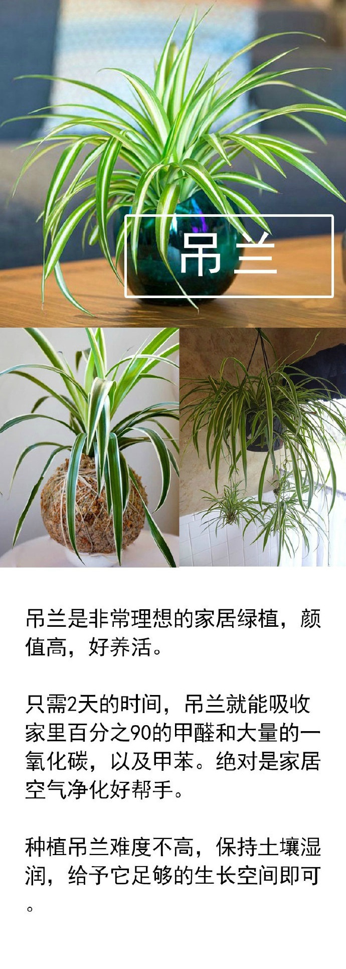c511d411gw1faremee7n8j20j61hnk3h.jpg c511d411gw1faremee7n8j20j61hnk3h.jpg