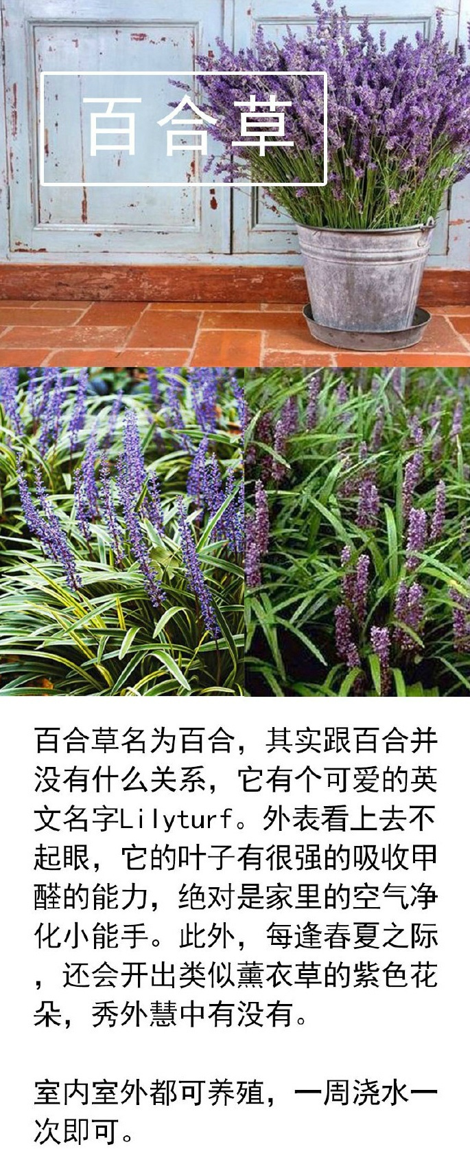 c511d411gw1faremfafr0j20j11awqhv.jpg c511d411gw1faremfafr0j20j11awqhv.jpg